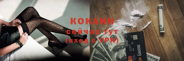 гашик Инсар