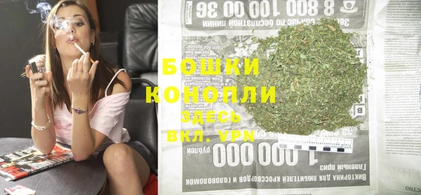 гашик Инсар