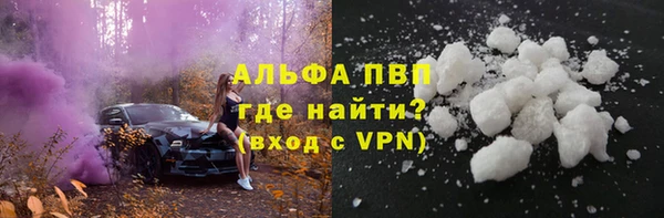 гашик Инсар